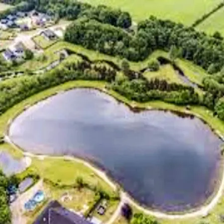 Modern Oasis In Arrild-by Traum