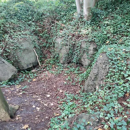 Modern Oasis In Arrild-by Traum בית נופש